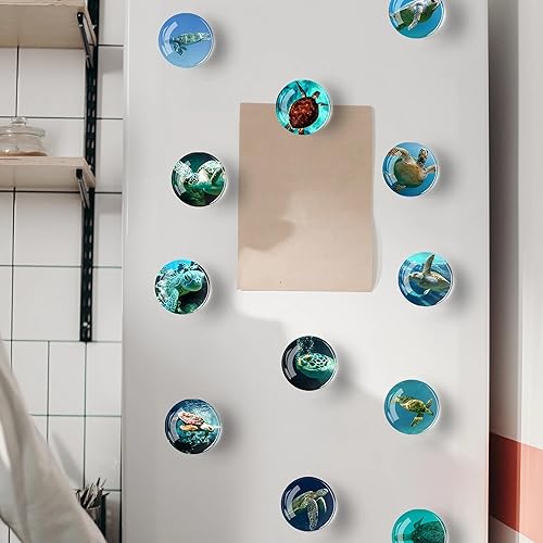 Miniatura 118 de 12 imanes de cristal para nevera, decoración de imanes de nevera de pájaro para manualidades, imanes de nevera fuertes para cocina, escuela