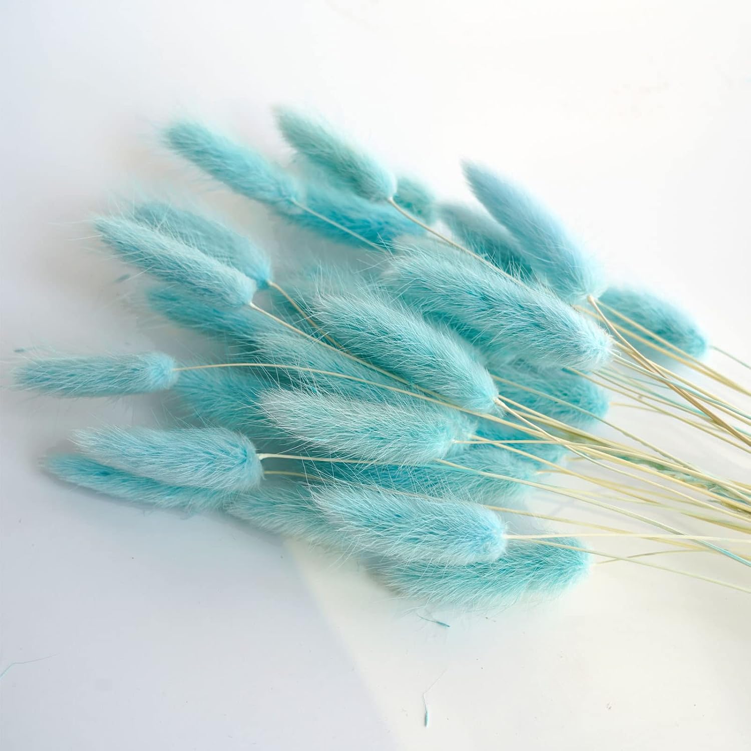 Caiyun Manor 100 Pcs Rabbit Tail Grass Dried , for Home,Wedding、Party Themed Decorations.16in (Light Blue)