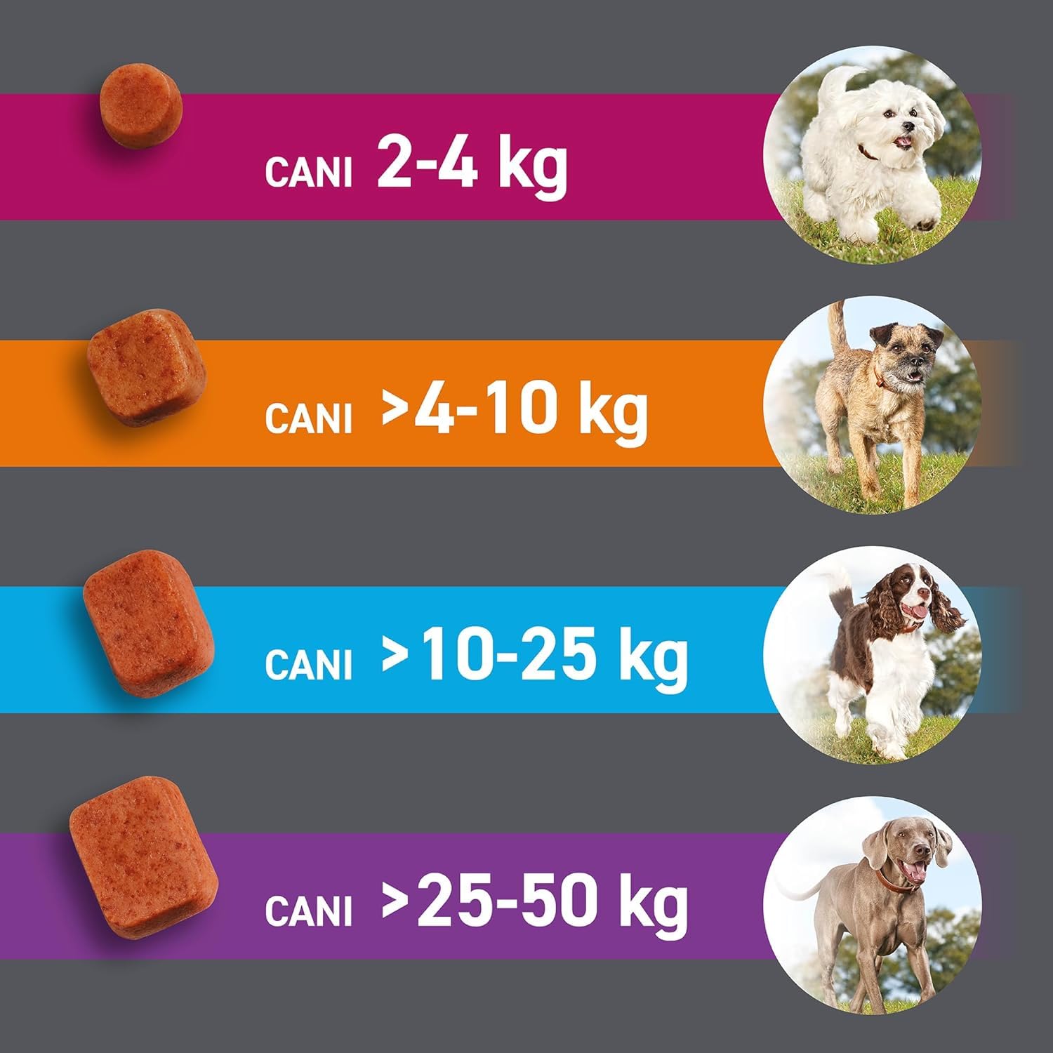 FRONTPRO 3 Compresse Masticabili Antiparassitario per Cani di Peso > 10-25 kg Protegge da Pulci e Zecche, Antipulci in Confezione da 3 Compresse da 68 mg di Afoxolaner, 10kg-25kg