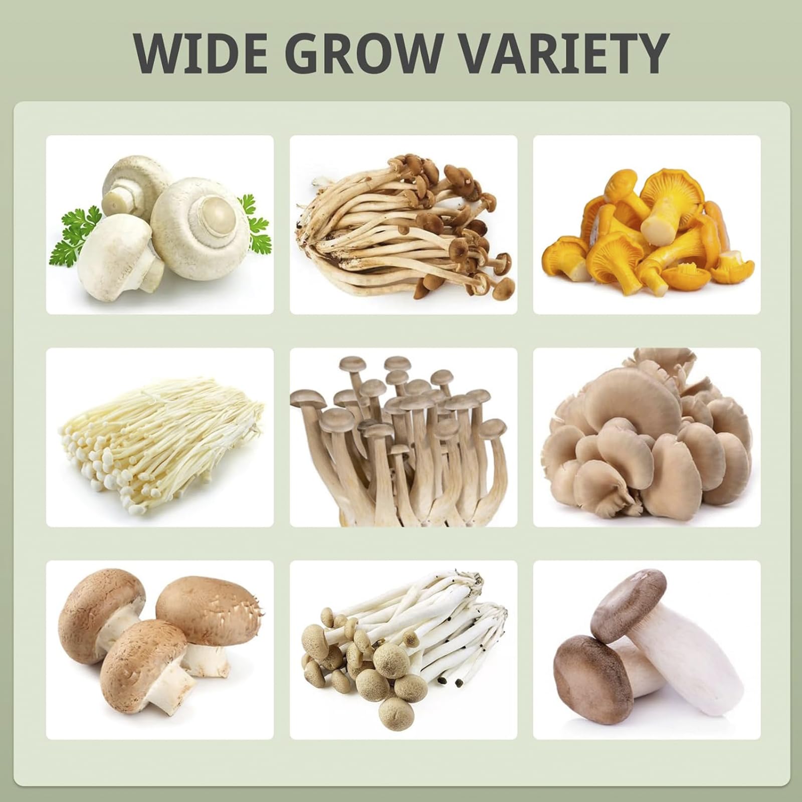 Tente De Culture Intelligente Pour Champignons, Kit De Culture De Champignons à La Maison, Boîte De Culture Entièrement Automatique, Ajuste Automatiquement L'humidité, Système D'air Frais, Avec