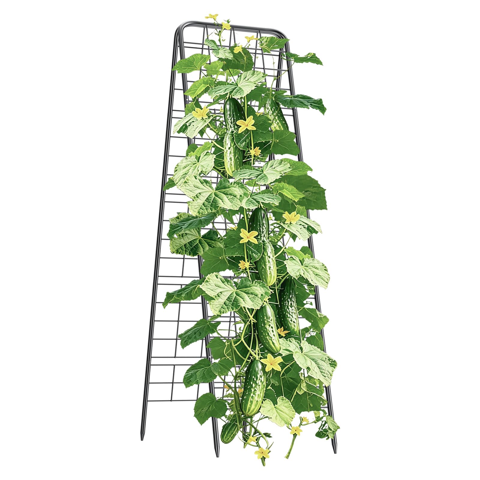 Photo 1 of 100% Metal Cucumber Trellis for Raised Bed,62"x17" A-Shape Garden Plant Support for Climbing Plants, Heavy Duty Metal Garden Trellises Plant Support for Vine Vegetables Outdoor (Black, 62x17inch(H*W))
