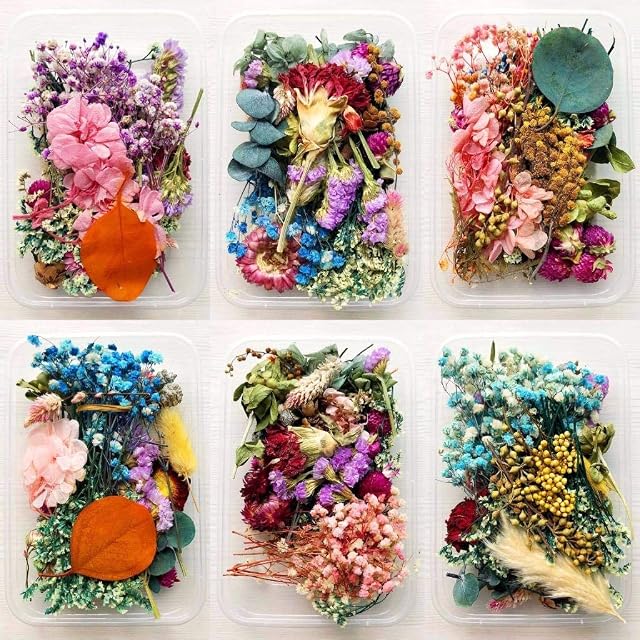 Uoeo 5 Boxes Natural Dried Flowers Real Mixed Pressed Flowers DIY Arrangement for Art Craft Soap Making Epoxy Resin Candle Scrapbooking Random Color