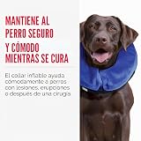 Ver la foto 2
