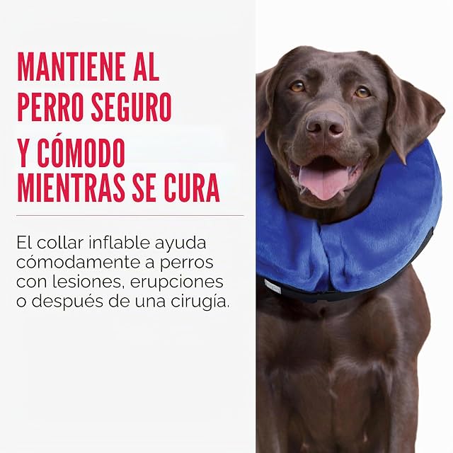 Foto 2 de 7 de KONG Cloud E-Collar, Dog Collar, Medium