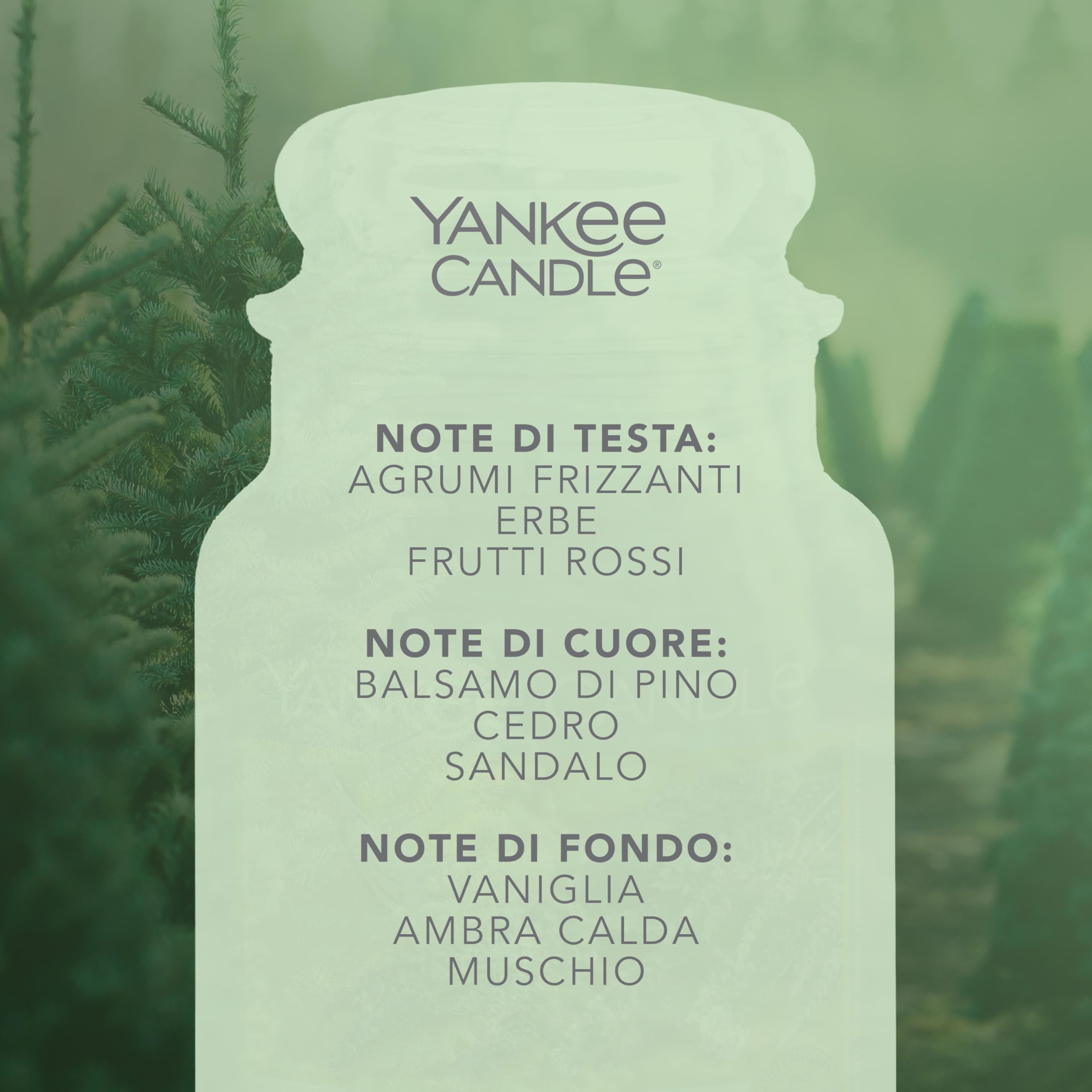Yankee Candle Candela profumata in giara grande, Balsam & Cedar, Durata Fino a 150 Ore, Regali ottimi per le donne