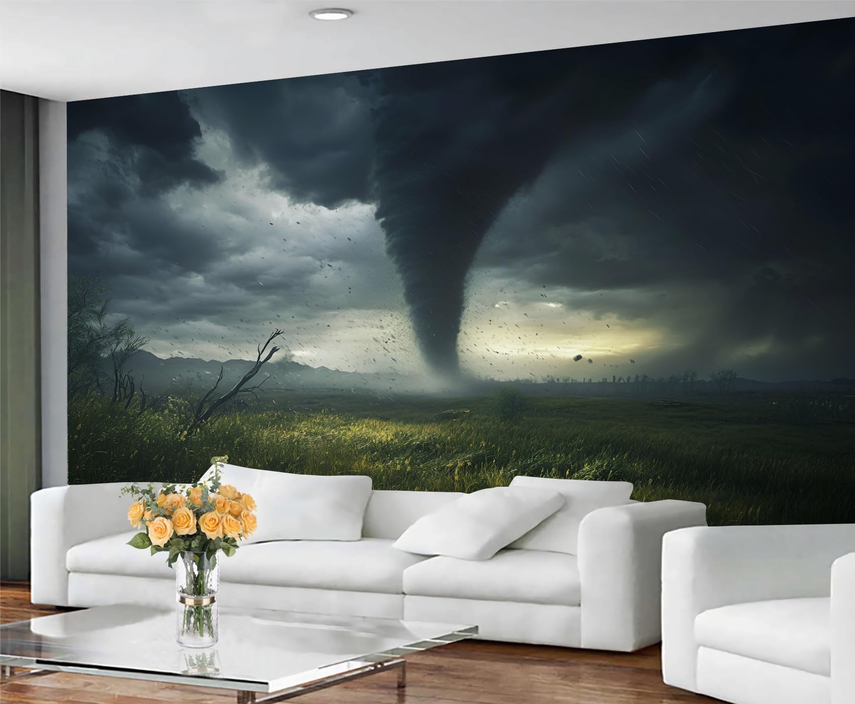 Peinture murale météo 3D pour masquer un grand mur vide