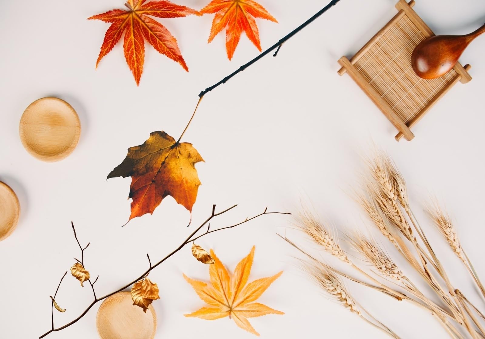 Fond Mural Esthétique feuilles d'érable grand format 430x300cm haut de gamme