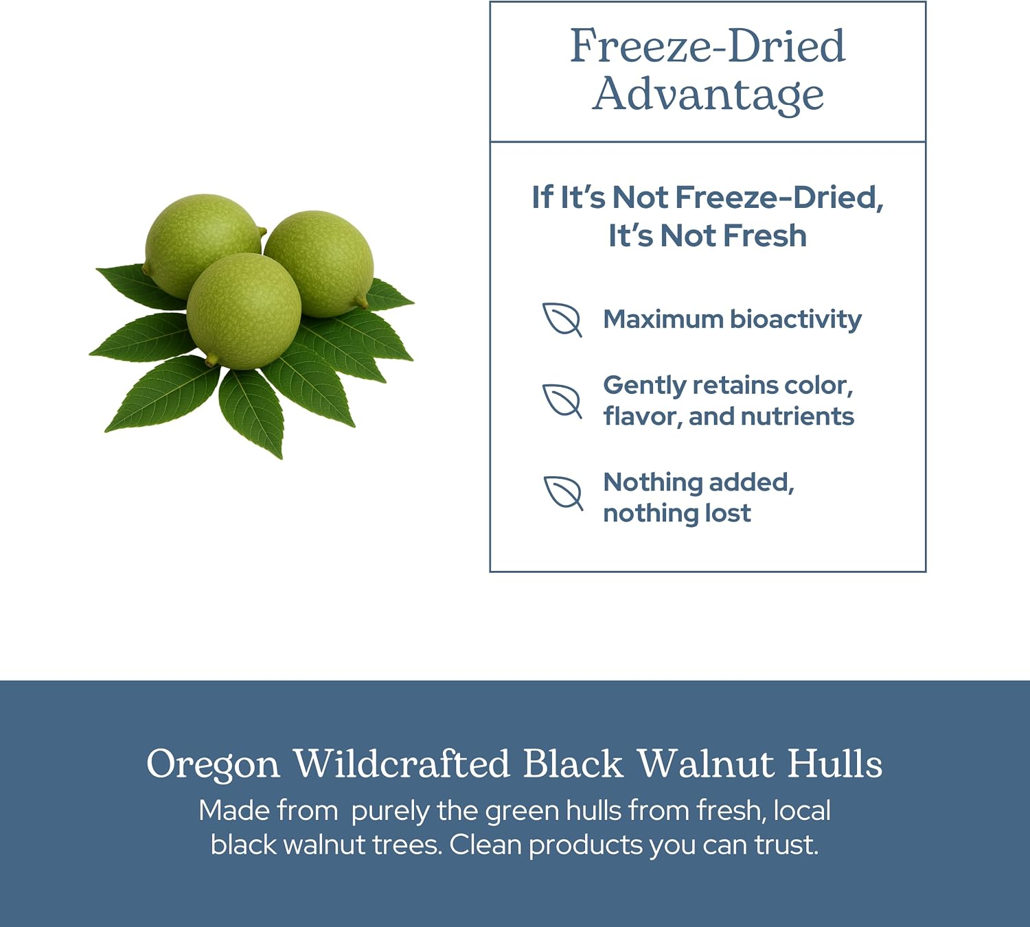 Eclectic Herb - Black Walnut Capsules | Intestinal Support, Detox & Cleanse | Antioxidant Support | US-Grown, Wildcrafted, Vegan, Non-GMO, Gluten Free (90 CT | 400 mg)