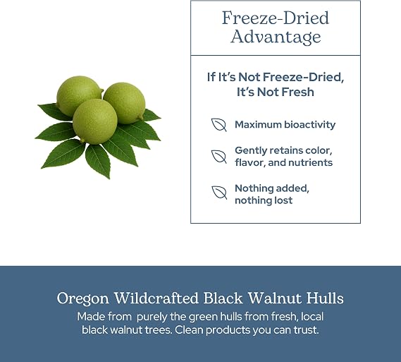 Eclectic Herb - Black Walnut Capsules | Intestinal Support, Detox & Cleanse | Antioxidant Support | US-Grown, Wildcrafted, Vegan, Non-GMO, Gluten Free (90 CT | 400 mg)