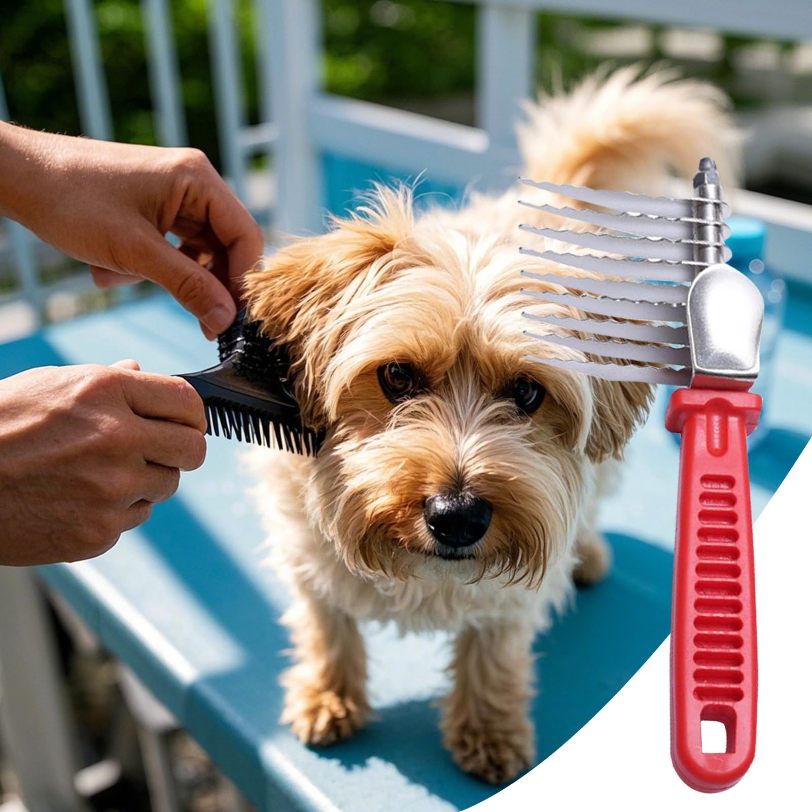 Pettine Anti-Nodi Per Toelettatura Animali Strumenti Lisci Ergonomici