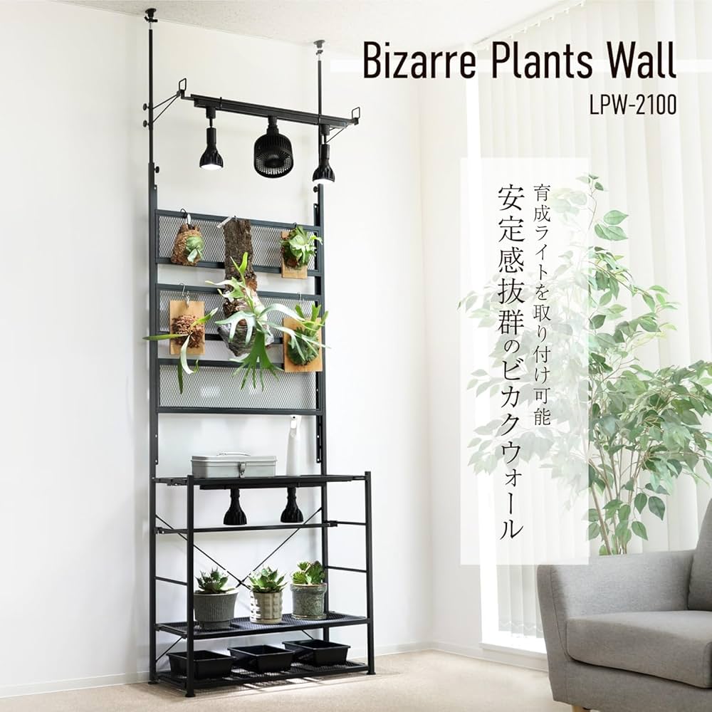 ビルビラ birbira 壁かけ 71IfScj7xvL._UF1000,1000_QL80_.jpg