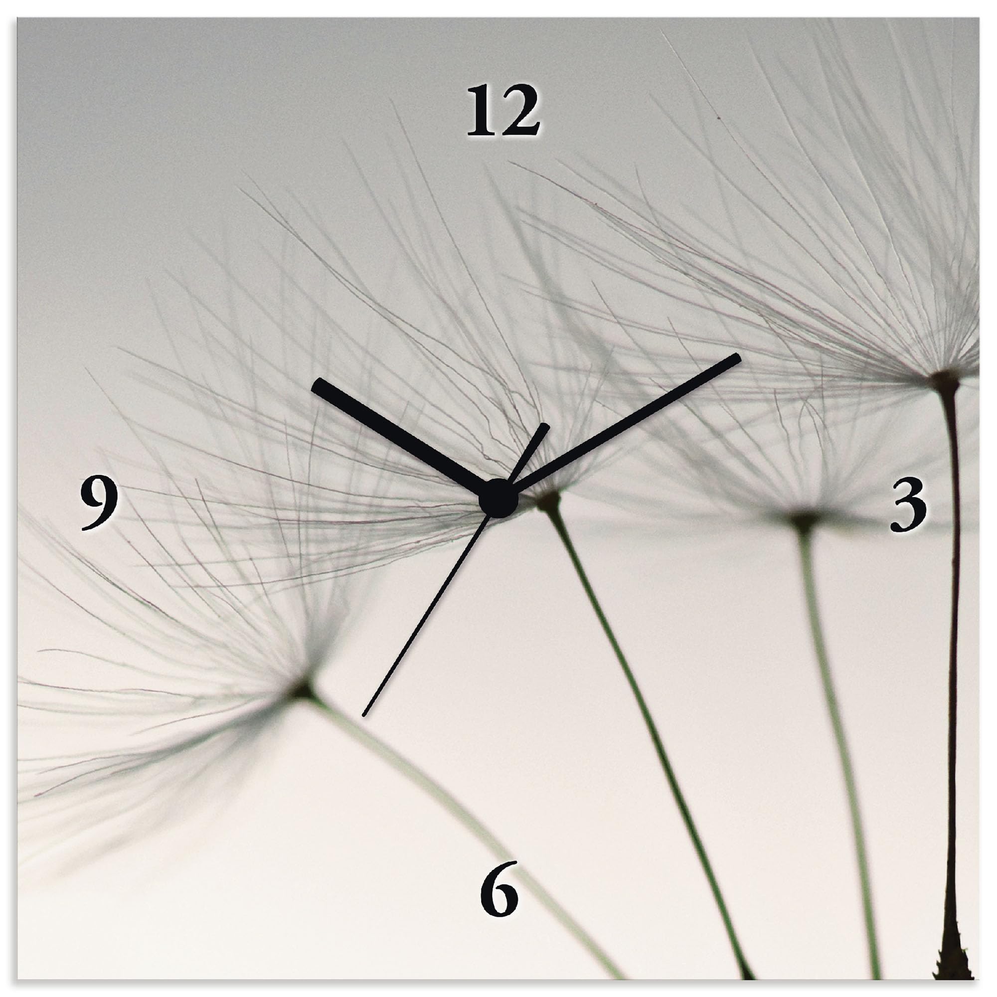 ARTLAND Wanduhr ohne Tickgeräusche Alu Funkuhr 30x30 cm Quadratisch Lautlos Blumen Pusteblume Modern Nordisch Originell T5SQ