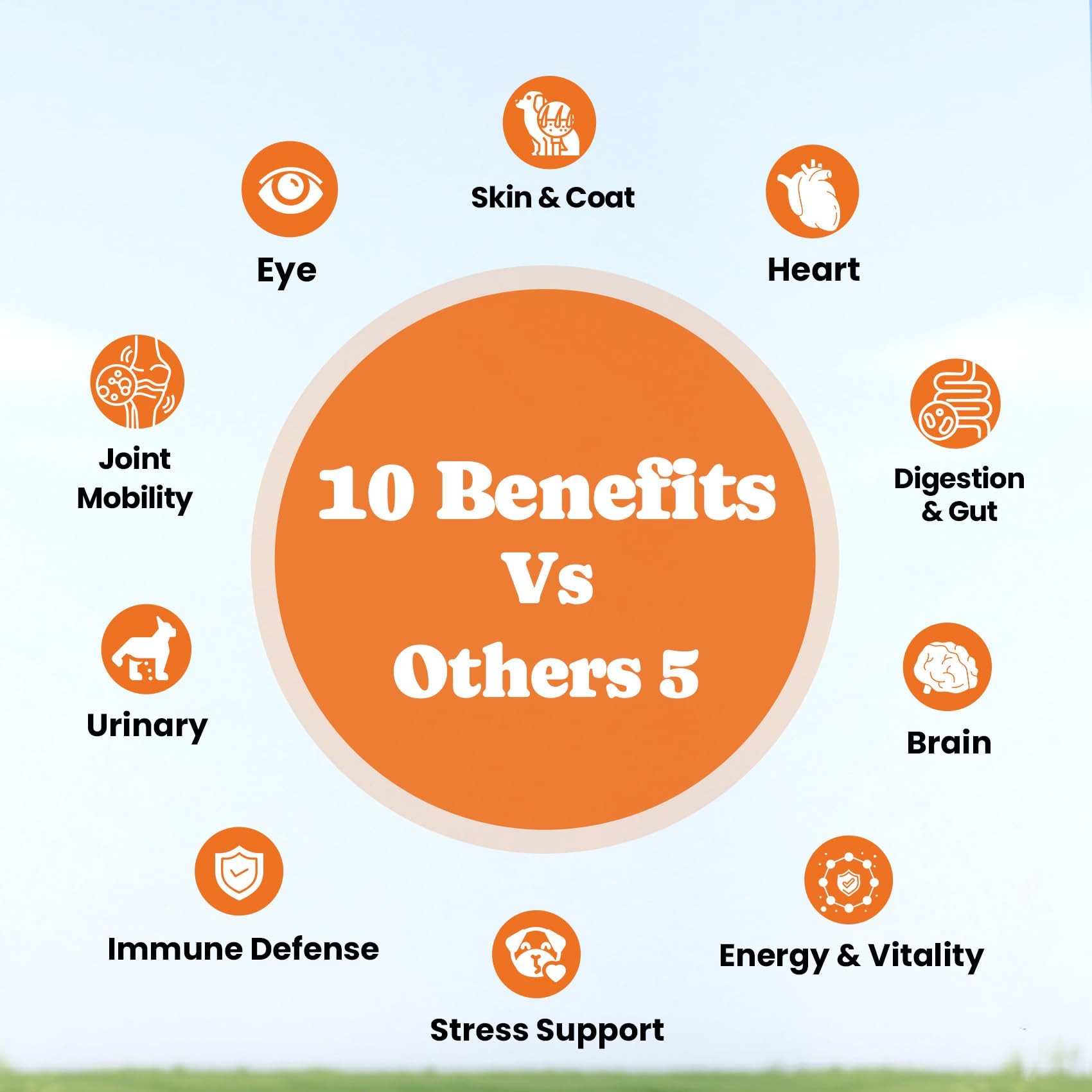 Dog Vitamins & Supplements 34-in-1 Pet Multivitamin Softchews, Daily Dog Supplements for Hip & Joints, Skin & Coat, Immune Health with Glucosamine, Probiotics, Collagen & Fish Oil (90-Day Supply) - image 3