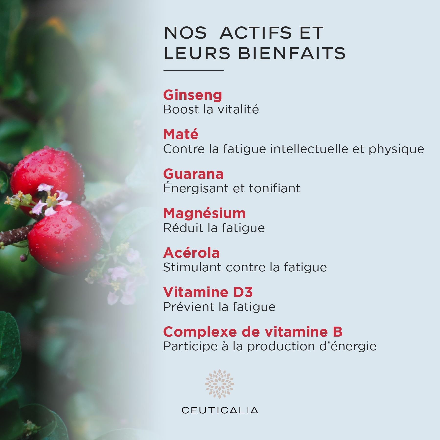 Complément Alimentaire Énergie et Vitalité - Boost Energie Anti Fatigue et Épuisement - Pour Adulte - Ginseng, Guarana, Maté, Acérola, Magnésium, Vitamines D et B - 180 Gélules - 90 Jours