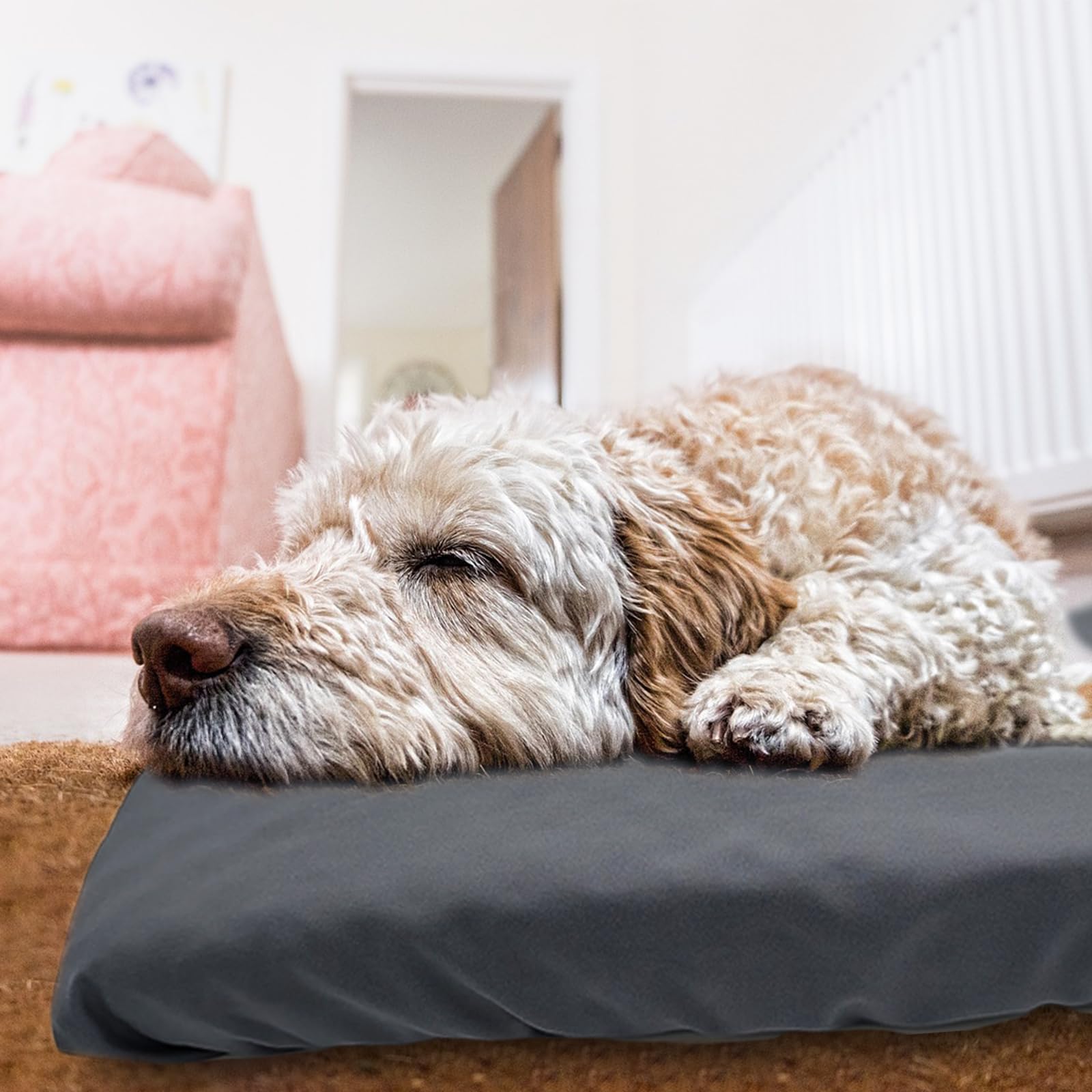 Funda de cama para perro, impermeable, de repuesto, lavable a máquina, para cama de perro, resistente a los arañazos, protector de colchón para mascotas de 47 x 29 pulgadas, solo funda gris