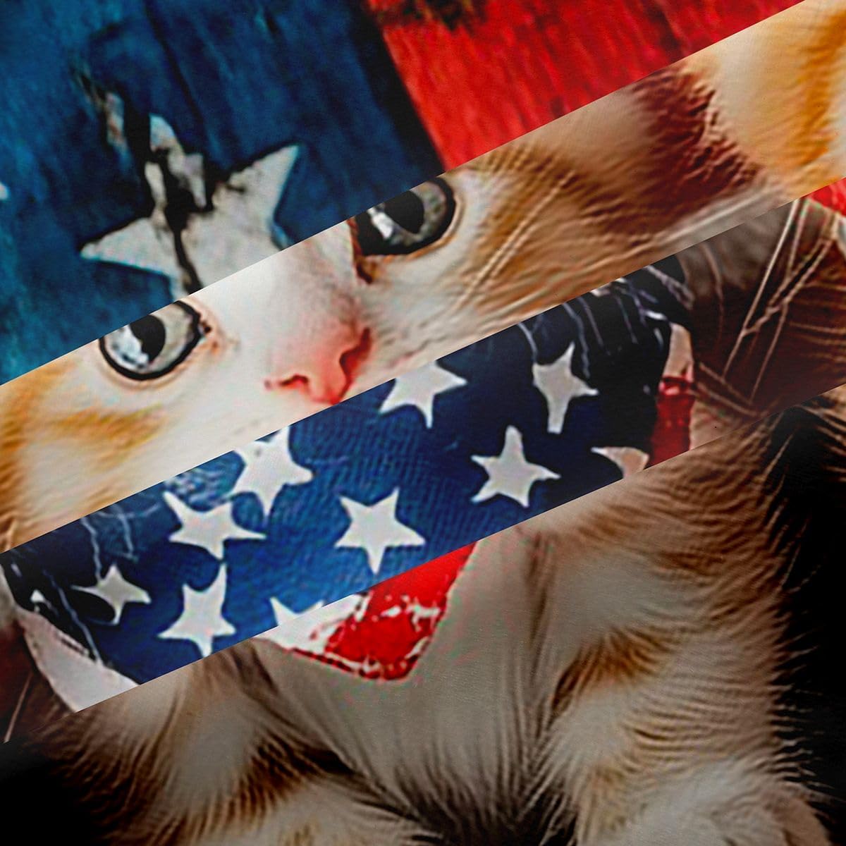 Castle Fairy Cute Cat Pirate Window Curtains American Flag Boys Girls Room Decor Windows Drapes Independence Day Style Grommet Top 2 Panel Set Bedroom Curtains 42x63 Inch Black