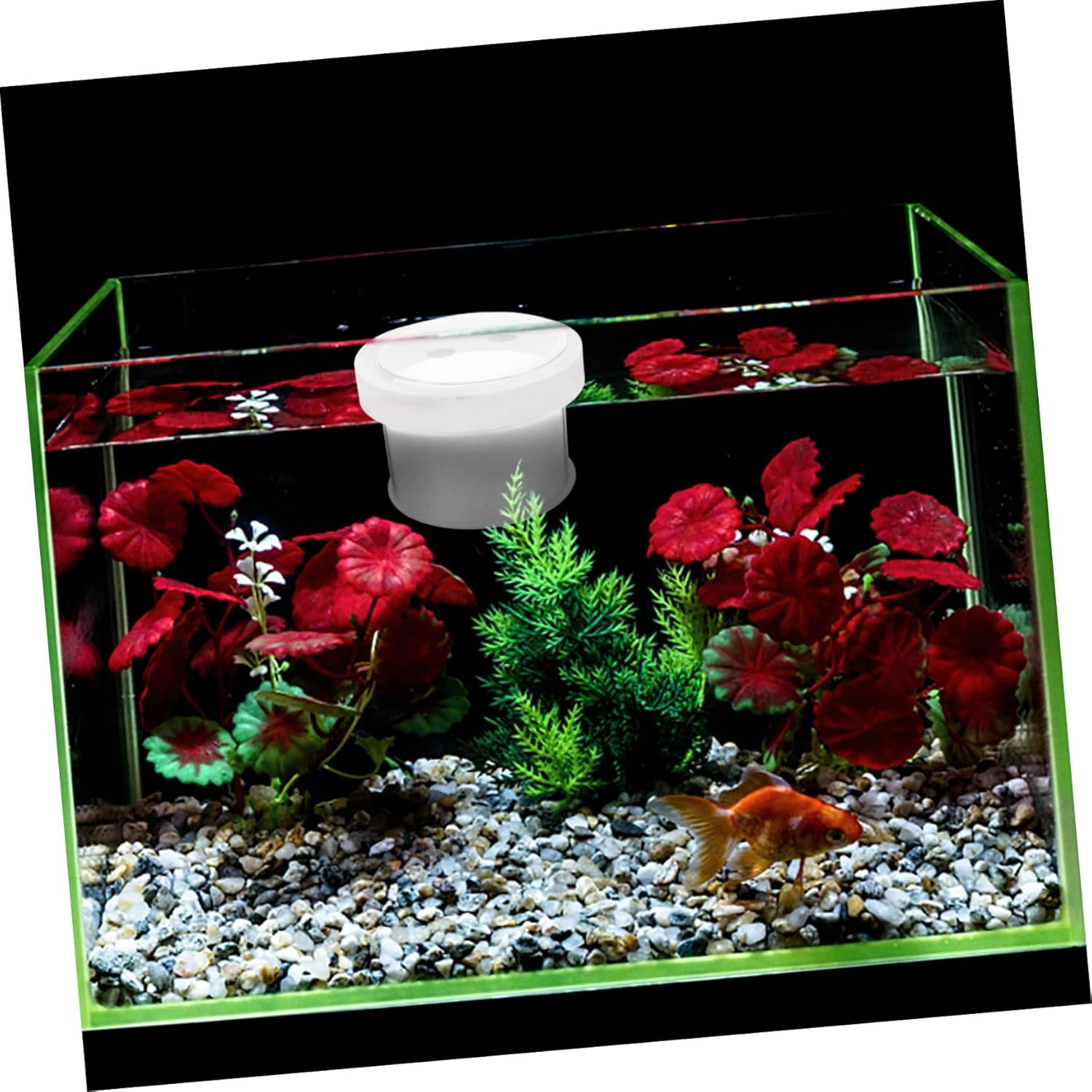 Floating Aquarium Fish Breeding Box Removable Fish Separator with Observation Design for Easy Monitoring for Home Fish Tanks