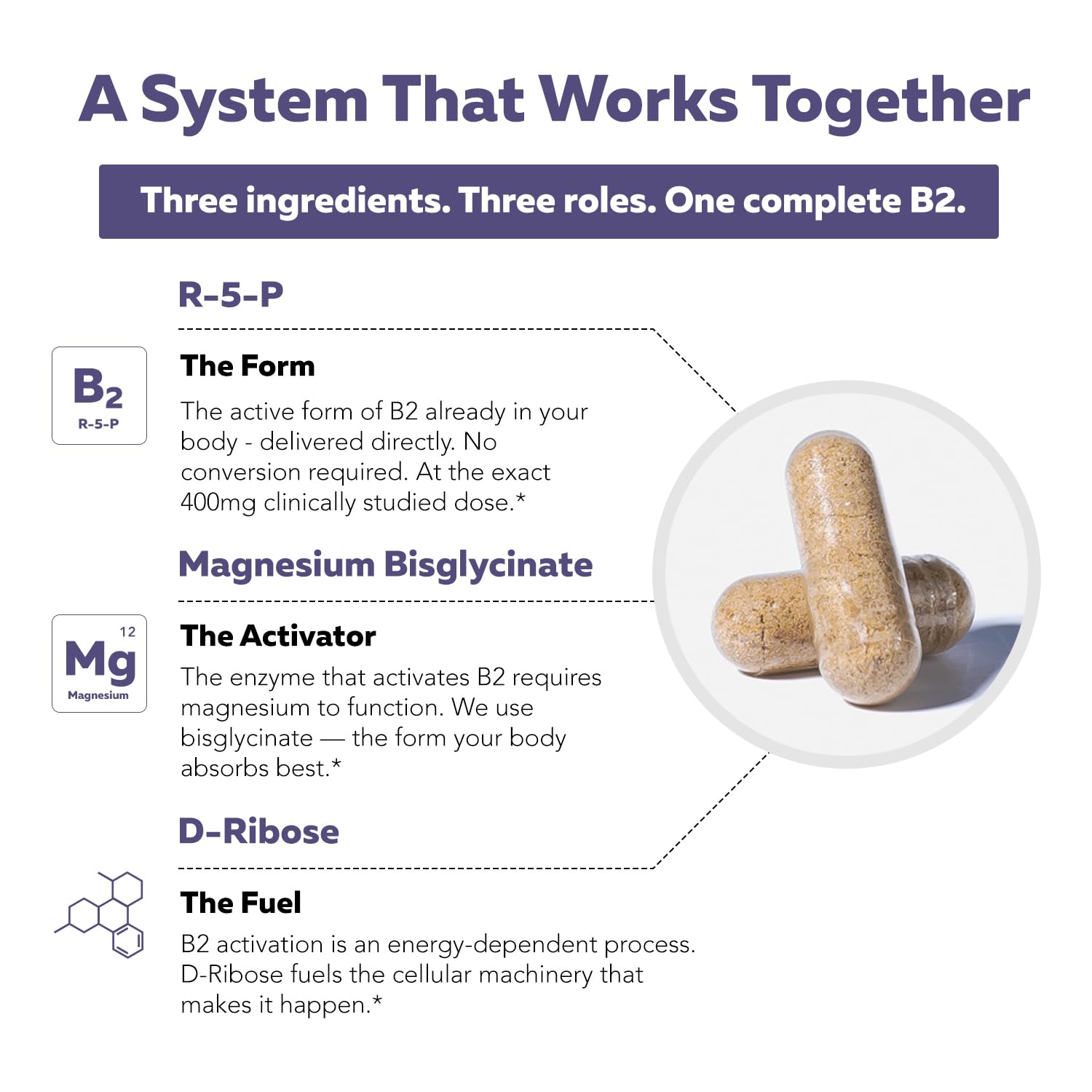 Vitamin B2 400mg, Active R-5-P with Magnesium Bisglycinate & D-Ribose — Amazon image 5