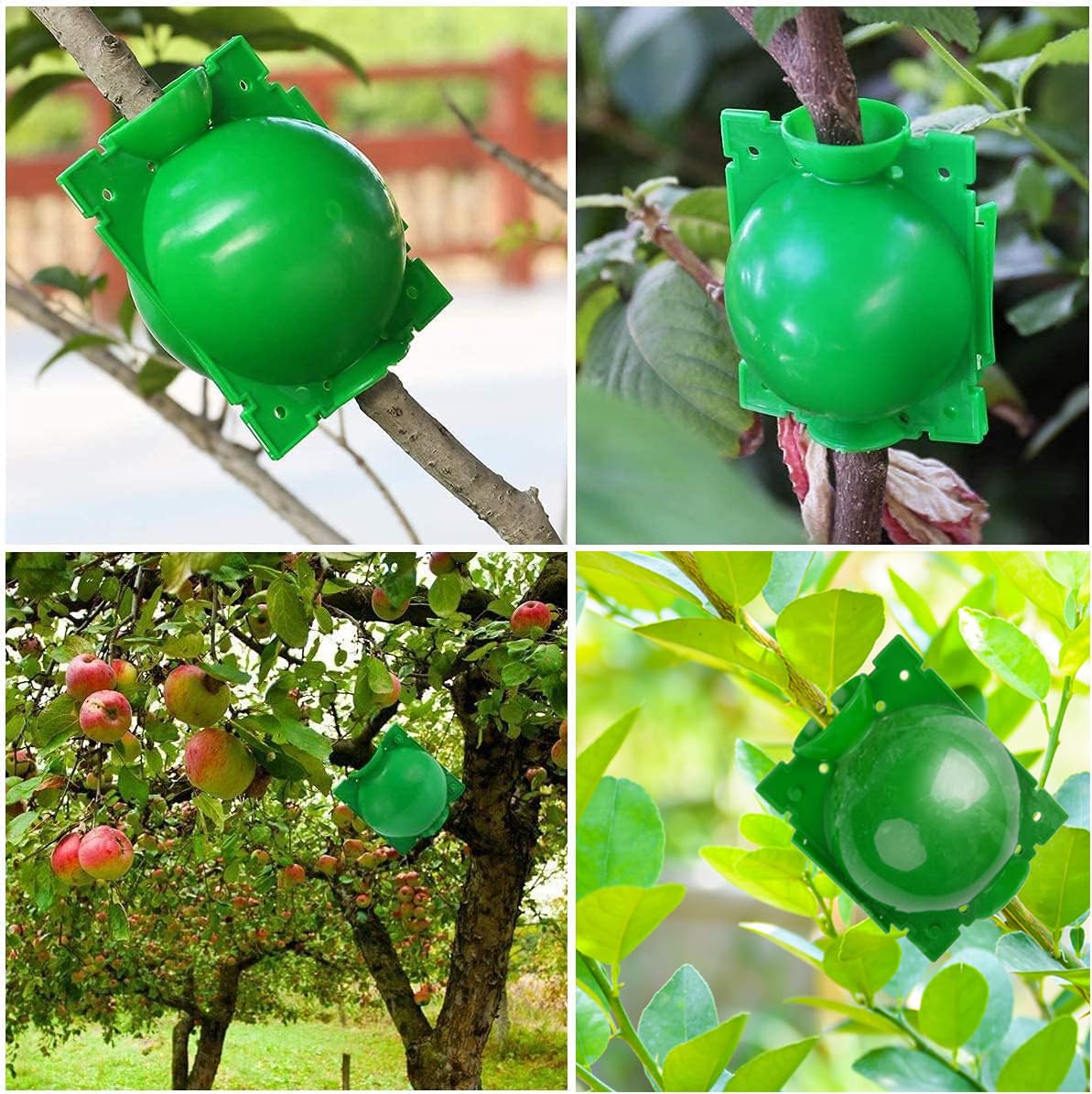 20 Piezas Dispositivos de Enraizamiento de Plantas, Caja de Cultivo de Raíces de Plantas Reutilizables con 20 Bridas de Cable para Injertar y Echar Raíces en Jardines (S+M+L) (Verde)