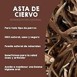 Ver la foto 2