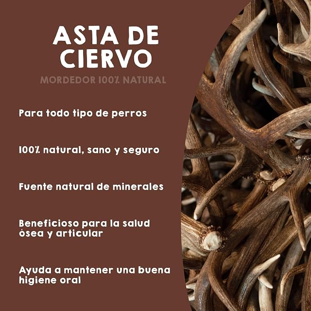 Foto 2 de 7 de MAIKAI Asta de Ciervo para Perros Talla M Mordedores Naturales Resistentes