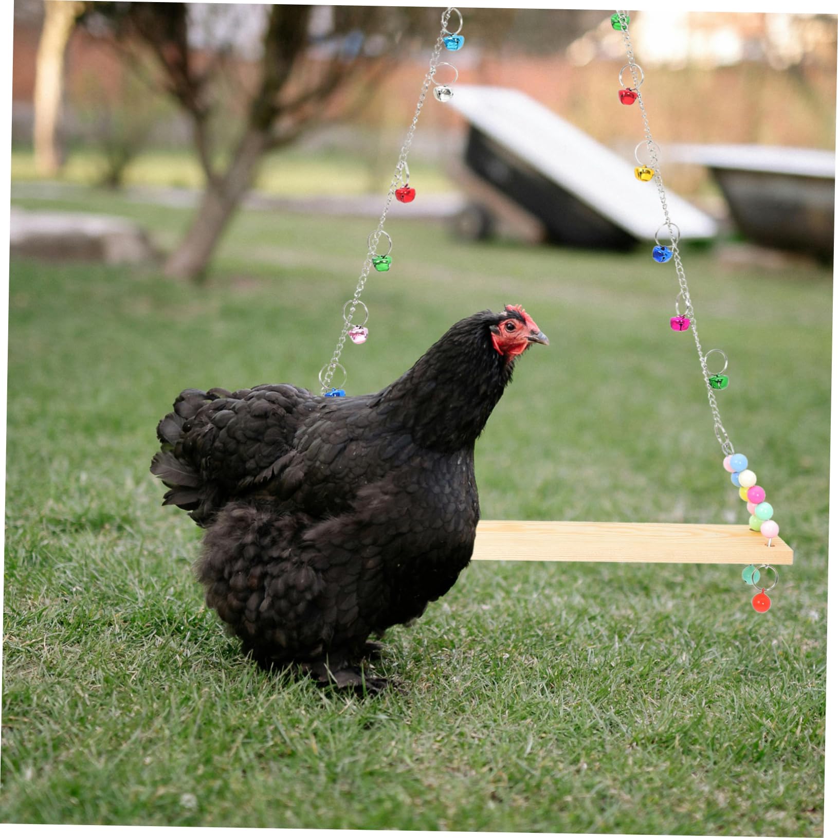 TOYANDONA Columpio de Madera para y Aves Perchero Resistente para Entrenamiento y Descanso Juguete Duradero para Gallineros y Pequeños