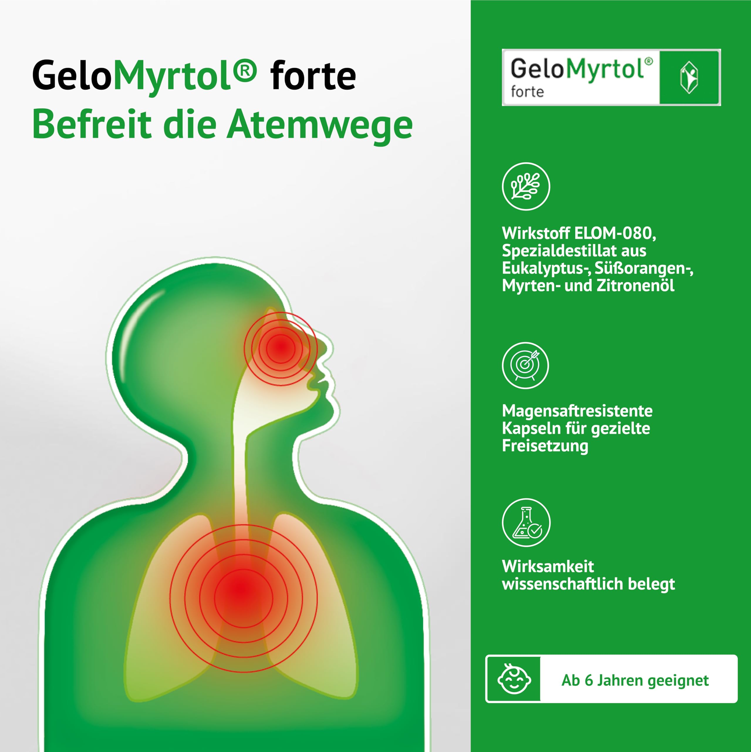 GeloMyrtol forte: Pflanzlicher Schleimlöser für akute und chronische Infektionen der oberen und unteren Atemwege mit Husten, Schnupfen und Druckkopfschmerz - ab 6 Jahren, 2 x 100 Kapseln