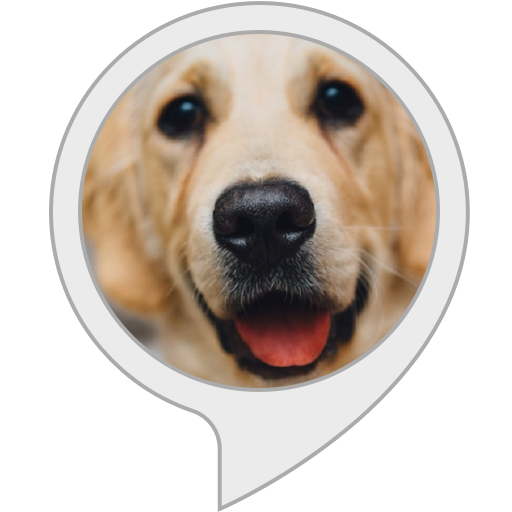 Doggo Daily Amazon.com: Daily Doggo : Alexa Skills