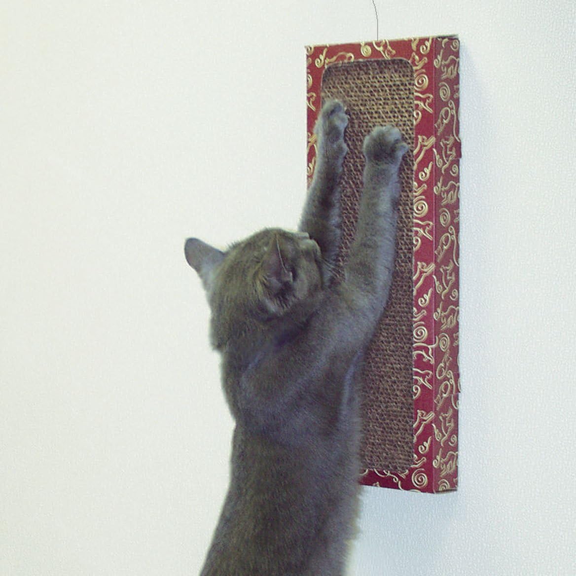 CAT DANCER Wall Mounted Cat Scratcher Pad with Command Strips for Adhesion, Vertical Cardboard Wall Scratcher for Cat Claws, Includes Free Cat Toy for Indoor Cats - 6.25"L x 1.75"W x 18"H