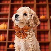 Vista 68 de Maca Bates Fall Maple Leaf Dog Collar with Sailor Bow Tie for Extra Small Girl,Boy,Autumn Foliage Puppy Collars with Bowtie Breakaway Adjustable