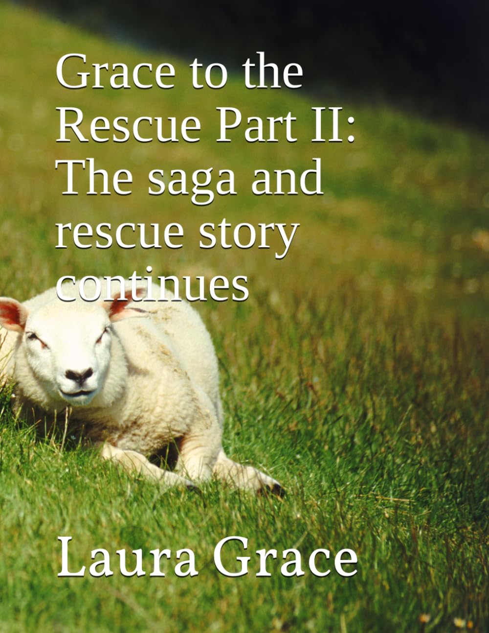 Grace to the Rescue Part II: The saga and rescue story continues