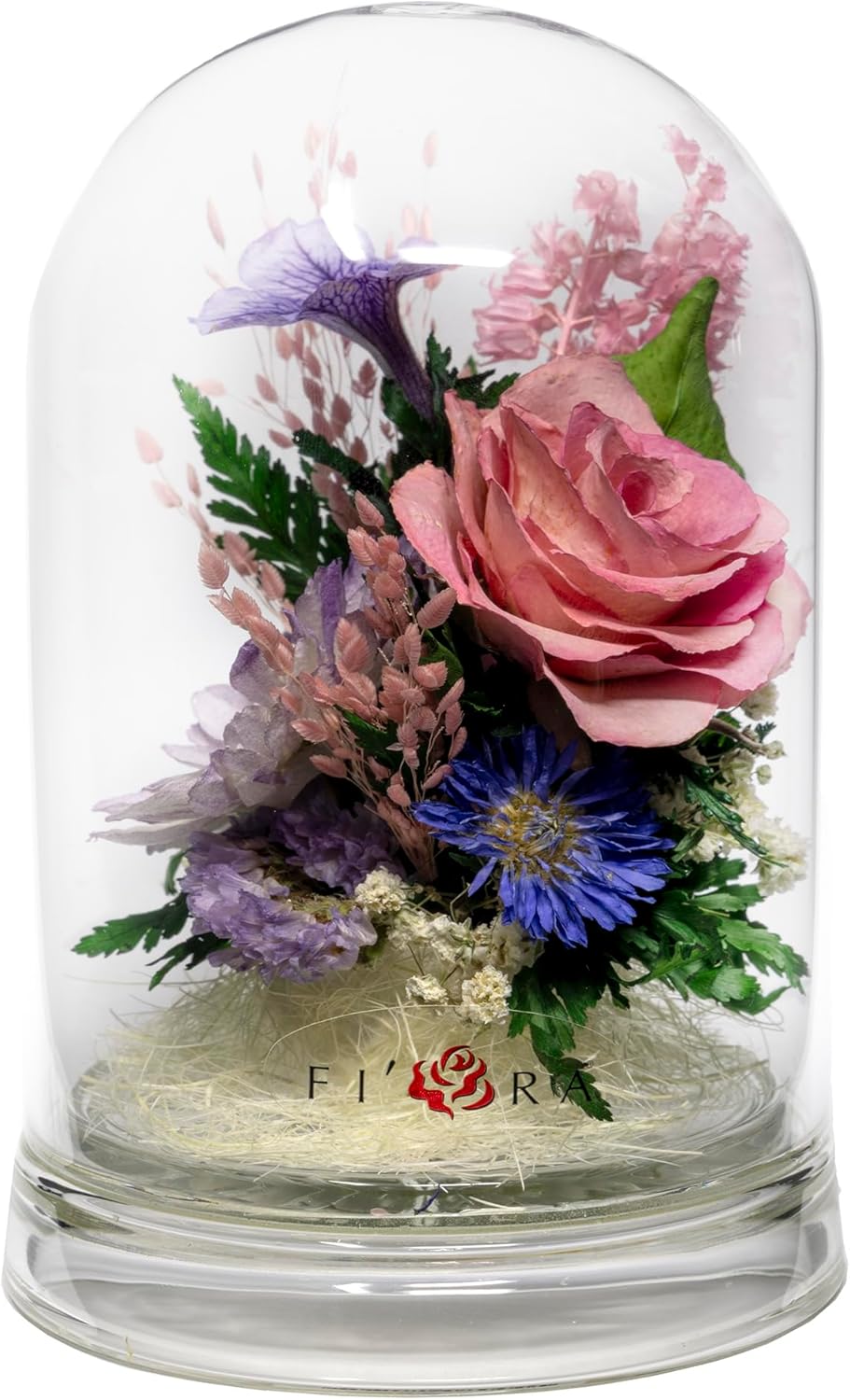 Fiora Flower Preserved Flowers in Glass Vase | Real Long-Lasting Floral Arrangement | No Watering | Home Décor Gift (Ruby Charm)