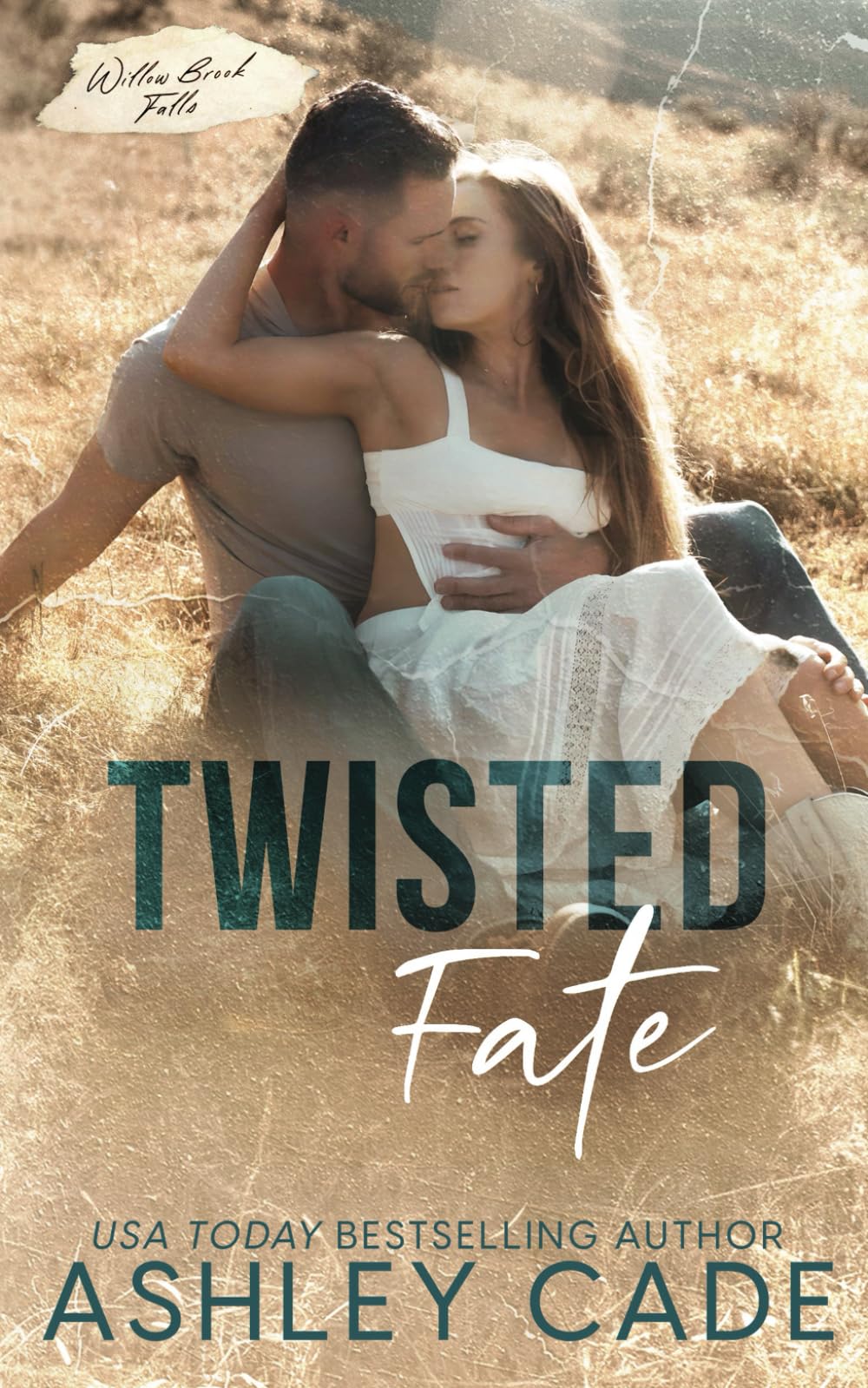 Twisted Fate: An Age Gap, Single Dad Romance (Willow Brook Falls)