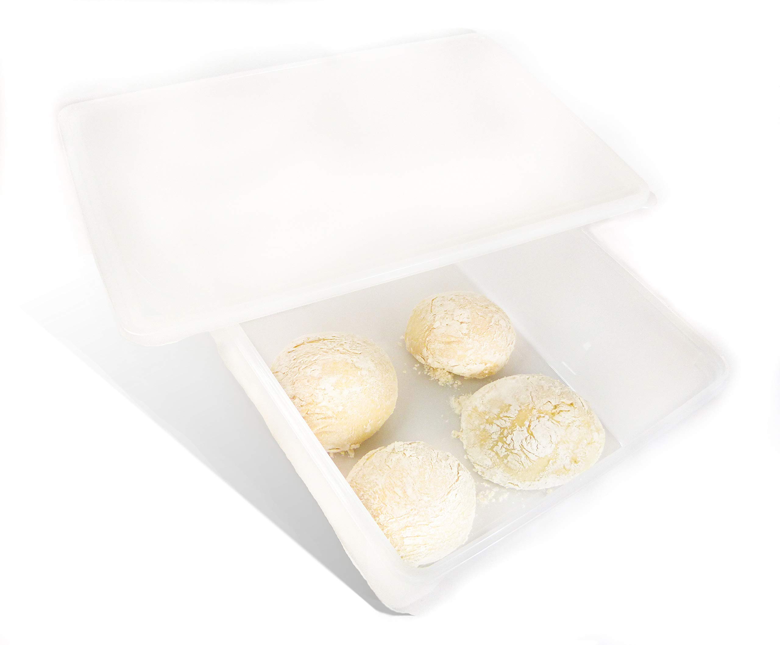 Buy 2.4 gal Produce Saver Containers for Refrigerator, Pizza Dough