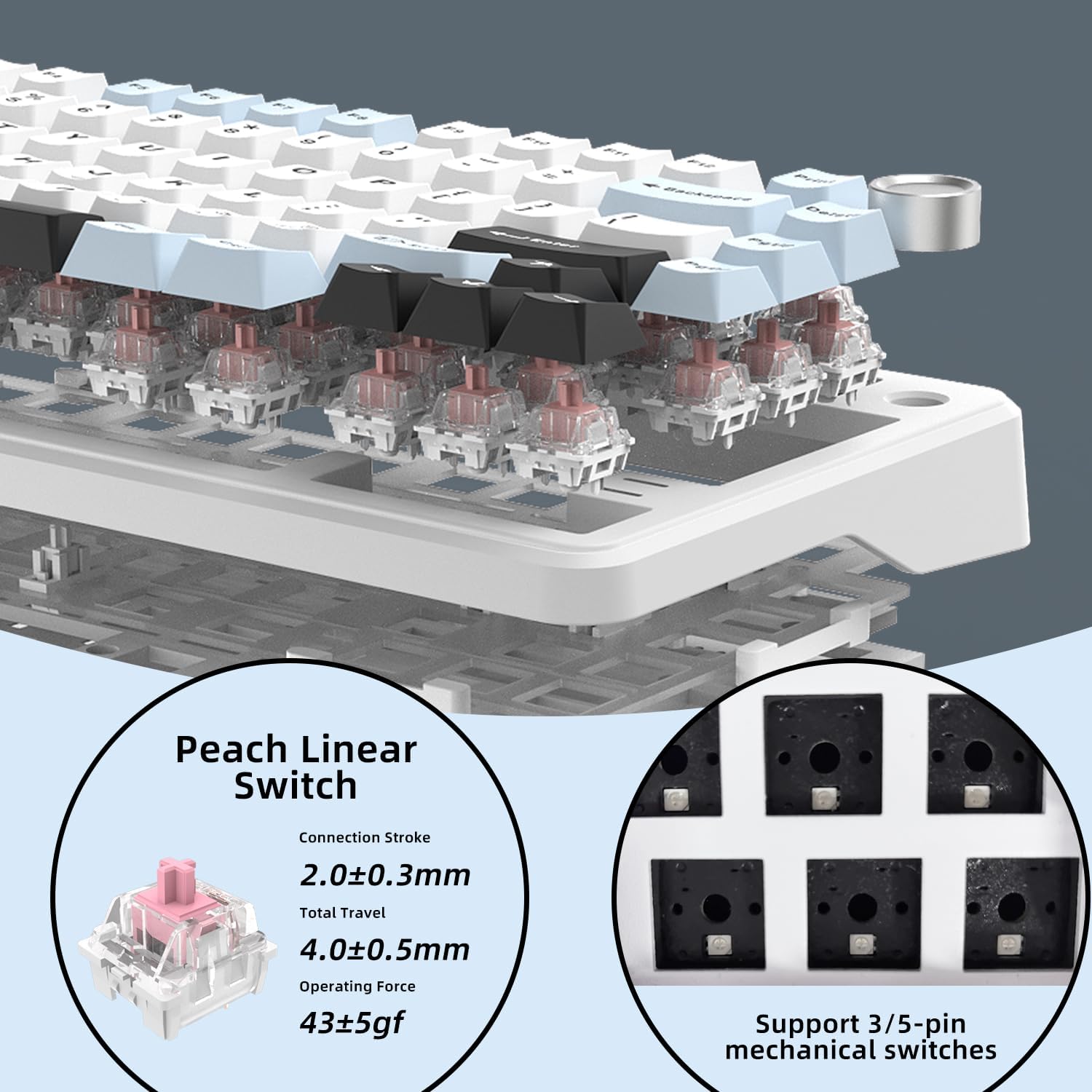 75% Wired Hot Swappable Mechanical Keyboard with Metal Knob | Mount Gasket | Programmable RGB Backlit & Adjustable Side Lighting (Peach Linear Switch)