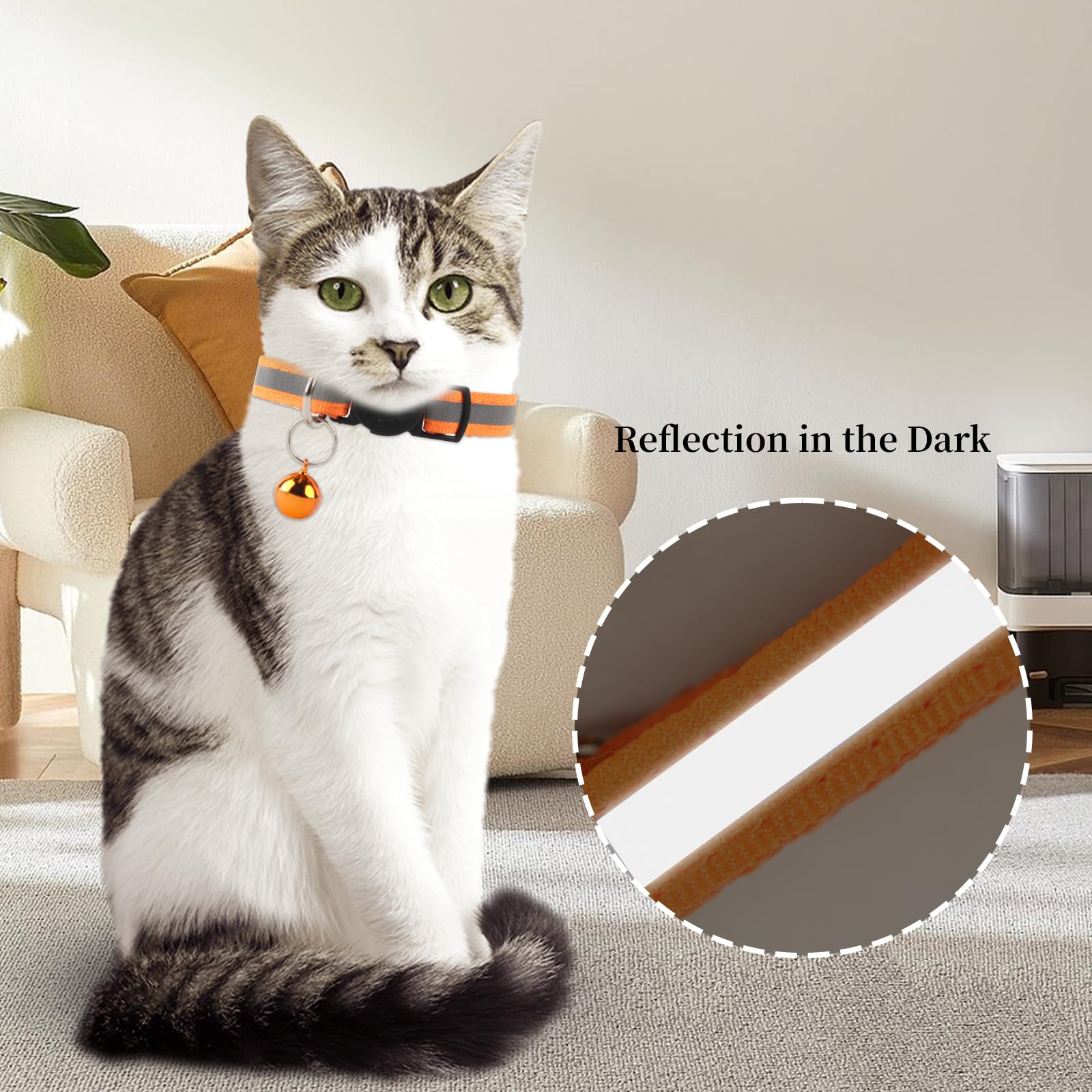 6 Reflektierend Katze Halsband, Katzen Halsbnde mit Glckchen, Verstellbar  Kitten Halsbands, Katzenhalsband Selbstffnend, Sicherheitshalsband  Katzemit Namen Adresse, Halsband Kat fr Auen Innen : Amazon.de: Haustier