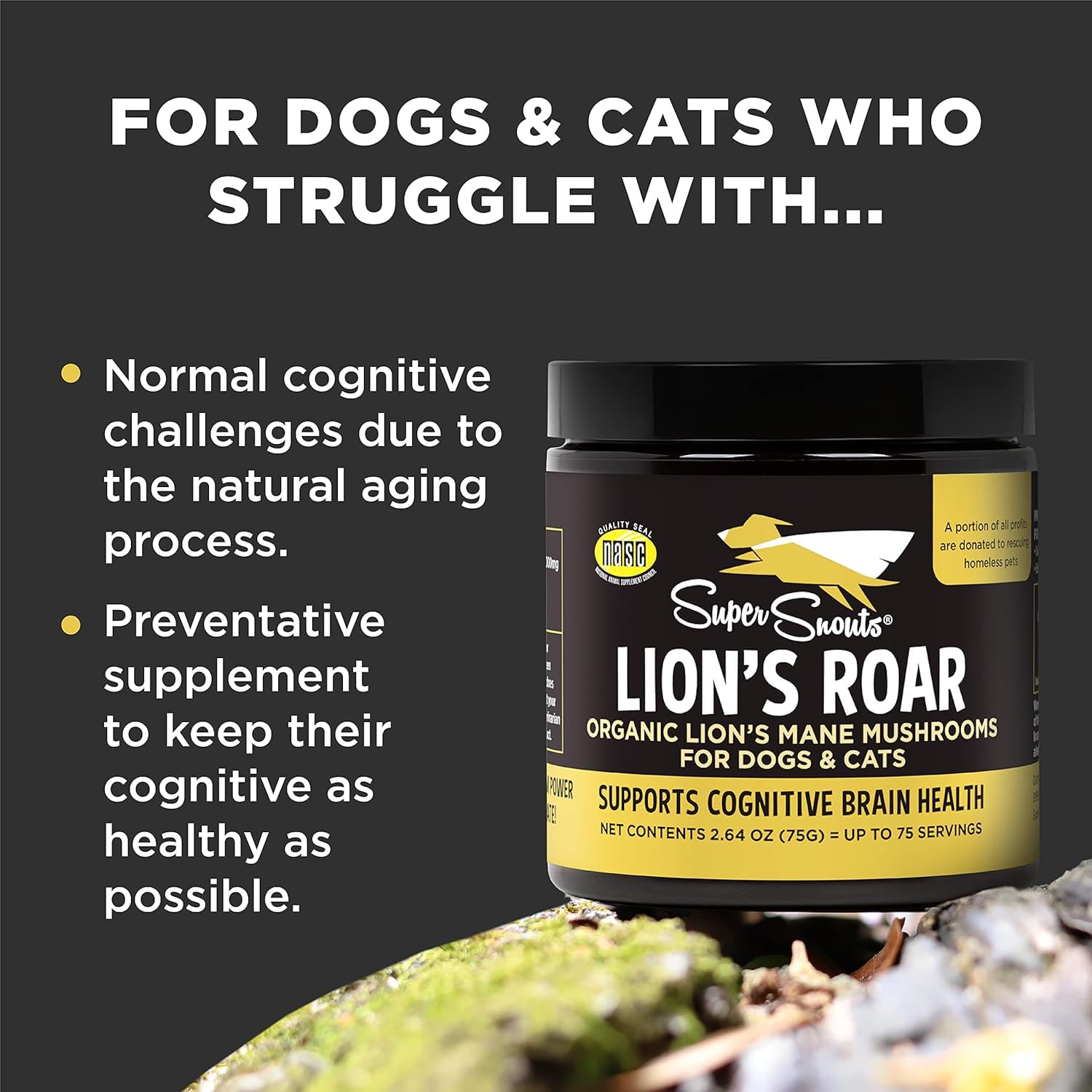 Super Snouts Lion's Roar, probiotiques pour chiens, aide système immunitaire et digestion, pot 75 gr