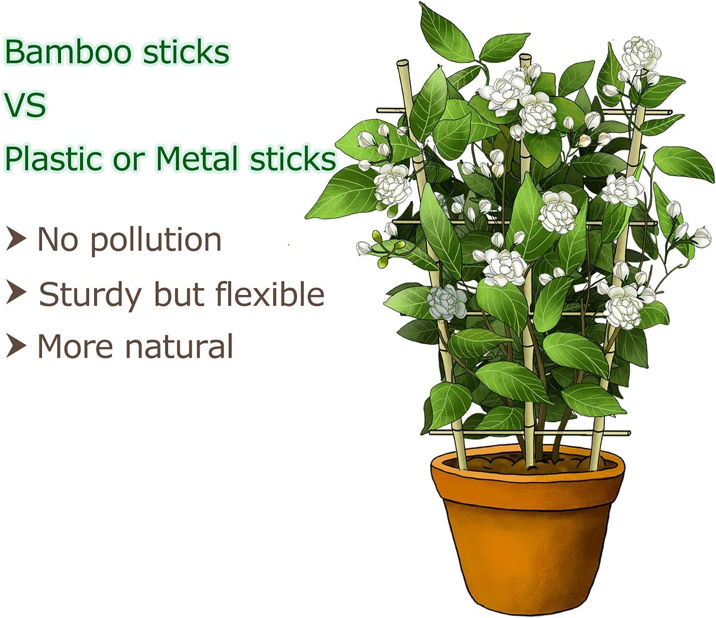 Cambaverd 24 Inch Trellis for Potted Plants, 3 Pack Bamboo Trellis Indoor, Natural Garden Trellis for Climbing Plant Monstera Hoya Vegetables and Fruits