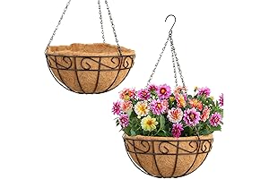 Free-Air 12 Inch Hanging Planter Metal Basket with Coir Liner
