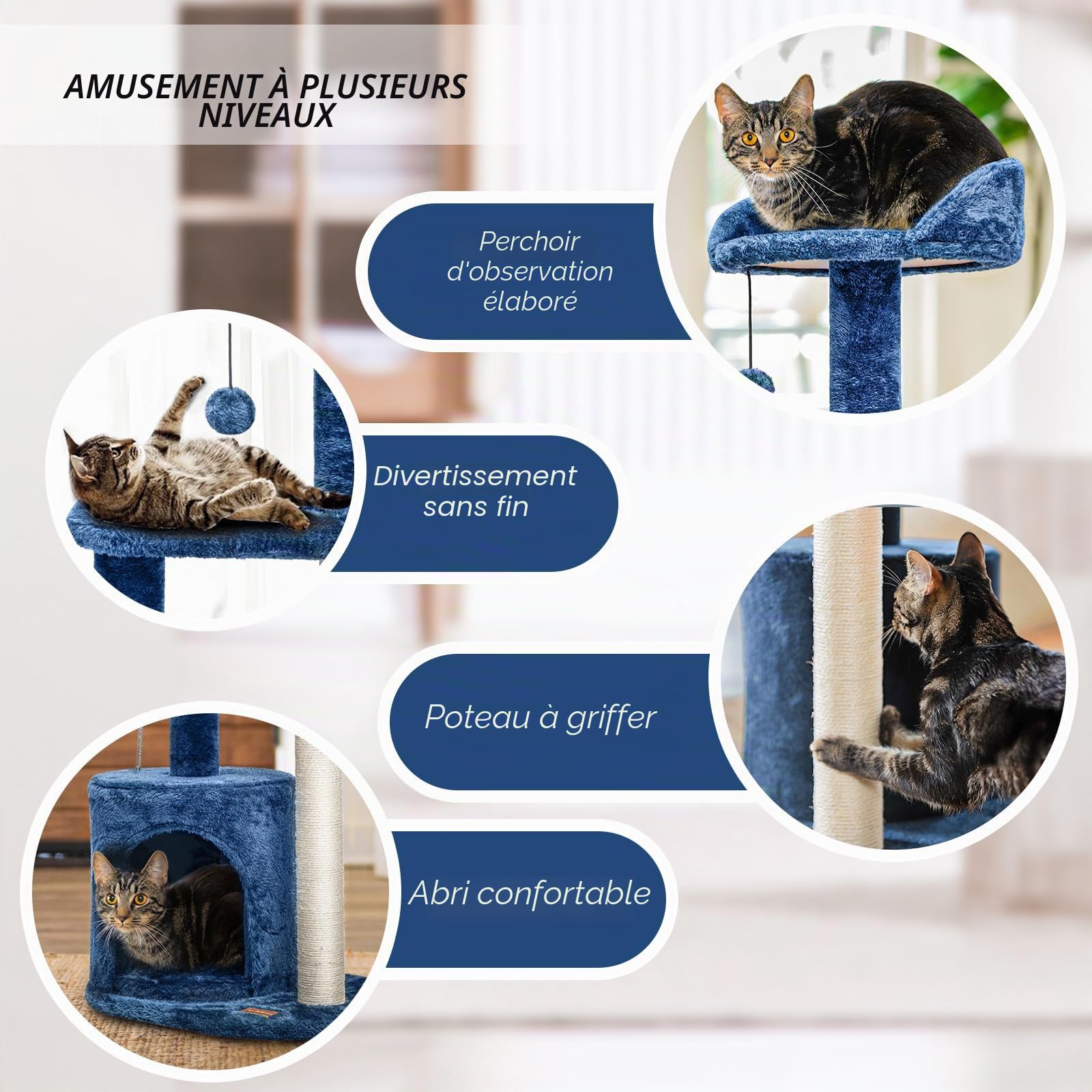 ClevaHome Arbre à Chat Bleu Denim pour Petits Chats – Arbre à Griffer Multi-Niveaux 85 cm avec Perchoirs Douillets, Jouet Pompon et Poteaux Sisal pour Chatons d’Intérieur