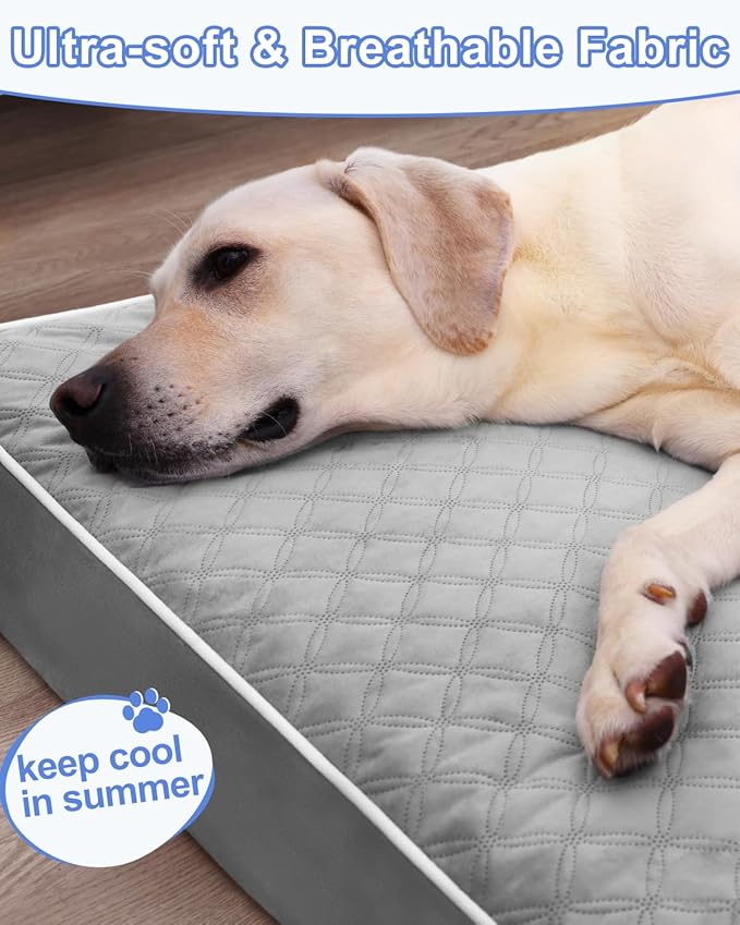 Cama Ortopédica para Perro Grande con Funda Lavable y Base A miniatura 2