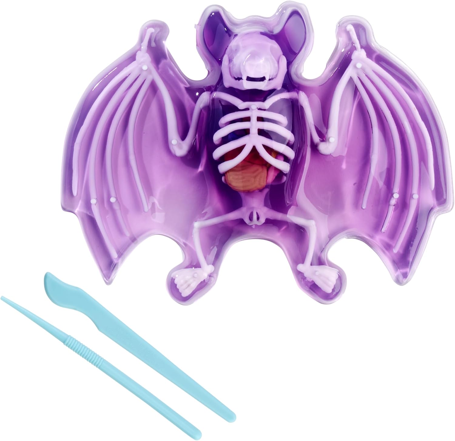 Scout Dissect-It Fledermaus