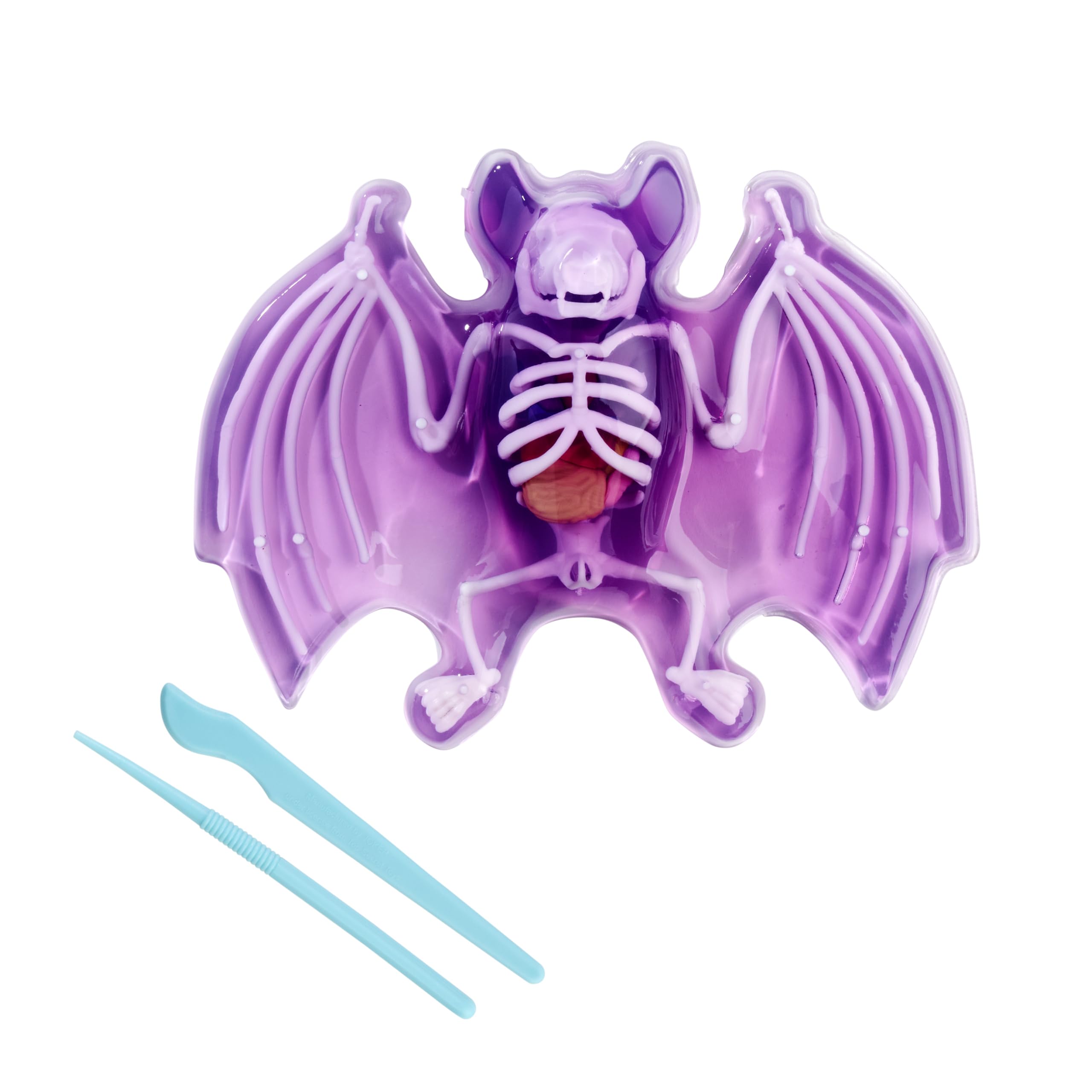 Scout Dissect-It Fledermaus