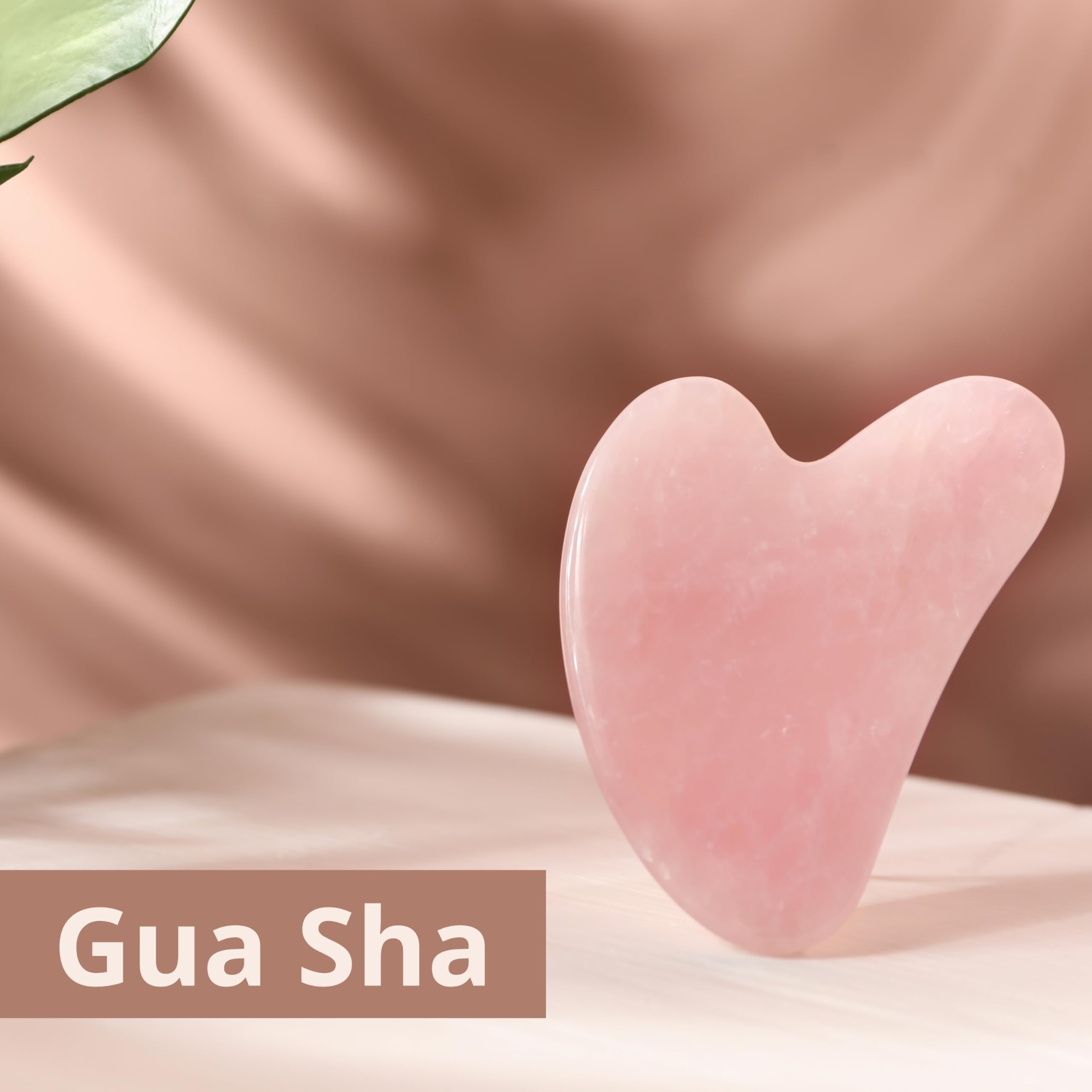 Pack Gua Sha Cuarzo Rosa + Aceite Camelia Bio 100% Natural 10ml - Hidratante y Nutritivo - Propiedades Antioxidantes y Rejuvenecedoras - Aceite seco Absorción inmediata - Extraído en frío en Galicia