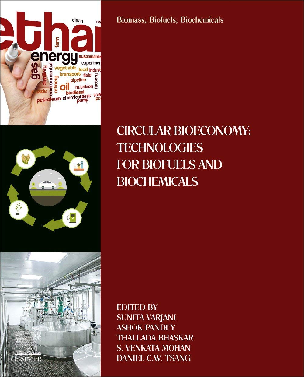 Biomass, Biofuels, Biochemicals Circular Bioeconomy