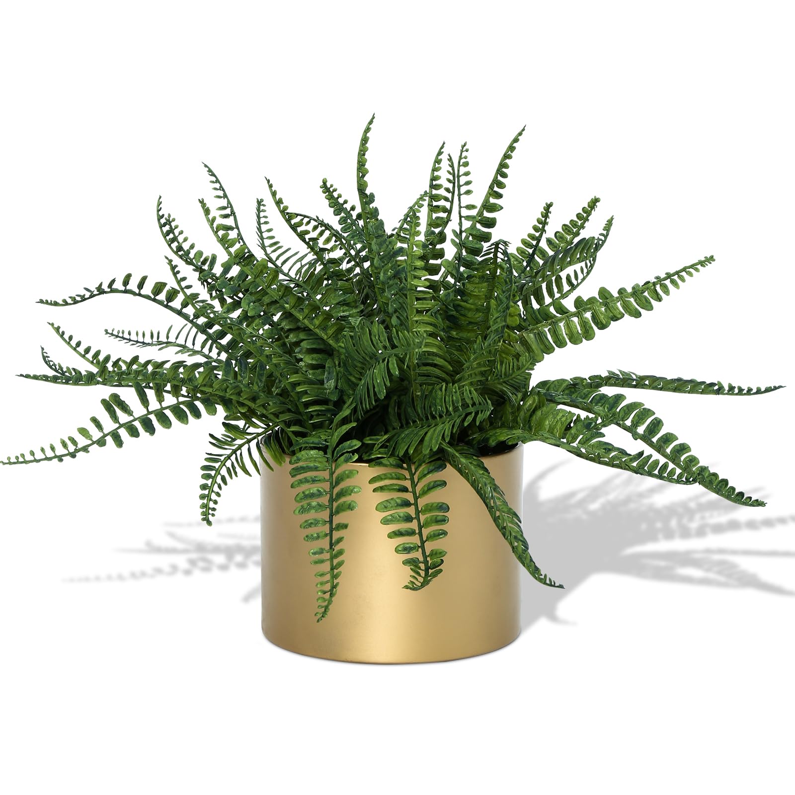 Amazon.de: DuHouse Knstliche Boston-Farn-Topfpflanze, knstliche  Grnpflanzen im Topf, knstlicher Farn fr Home-Office-Schreibtisch, Regal,  Badezimmer, Kche, Bauernhaus, Tischdekoration (Gold-Metalltopf)