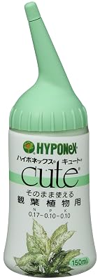 【水耕栽培リベンジ】アイスプラントの種まき！今度は「光に当てて」発芽を目指す