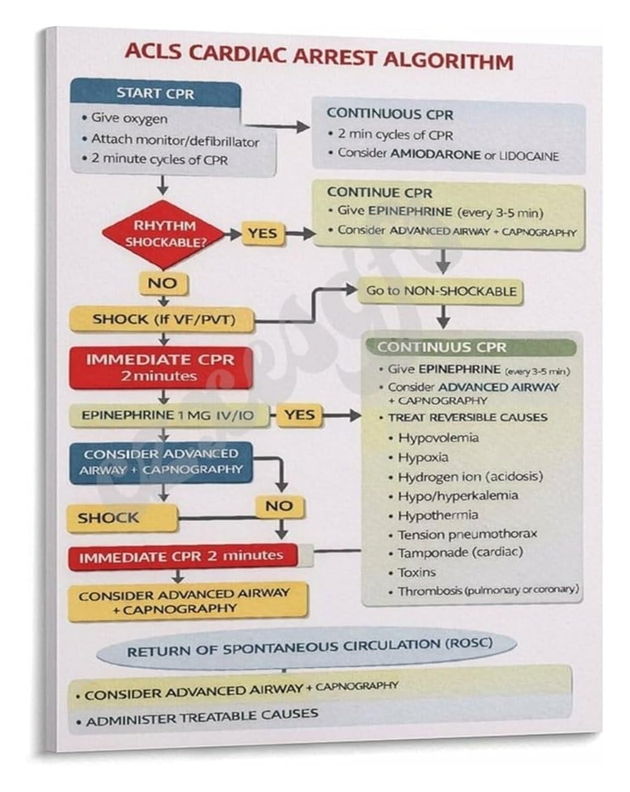 SSOPTMCB Emergency Medicine ACLS Cardiac Arrest Algorithm Guide Poster for Hospital Clinic Training Canvas Print(Unframed,08x12inch(20x30cm))