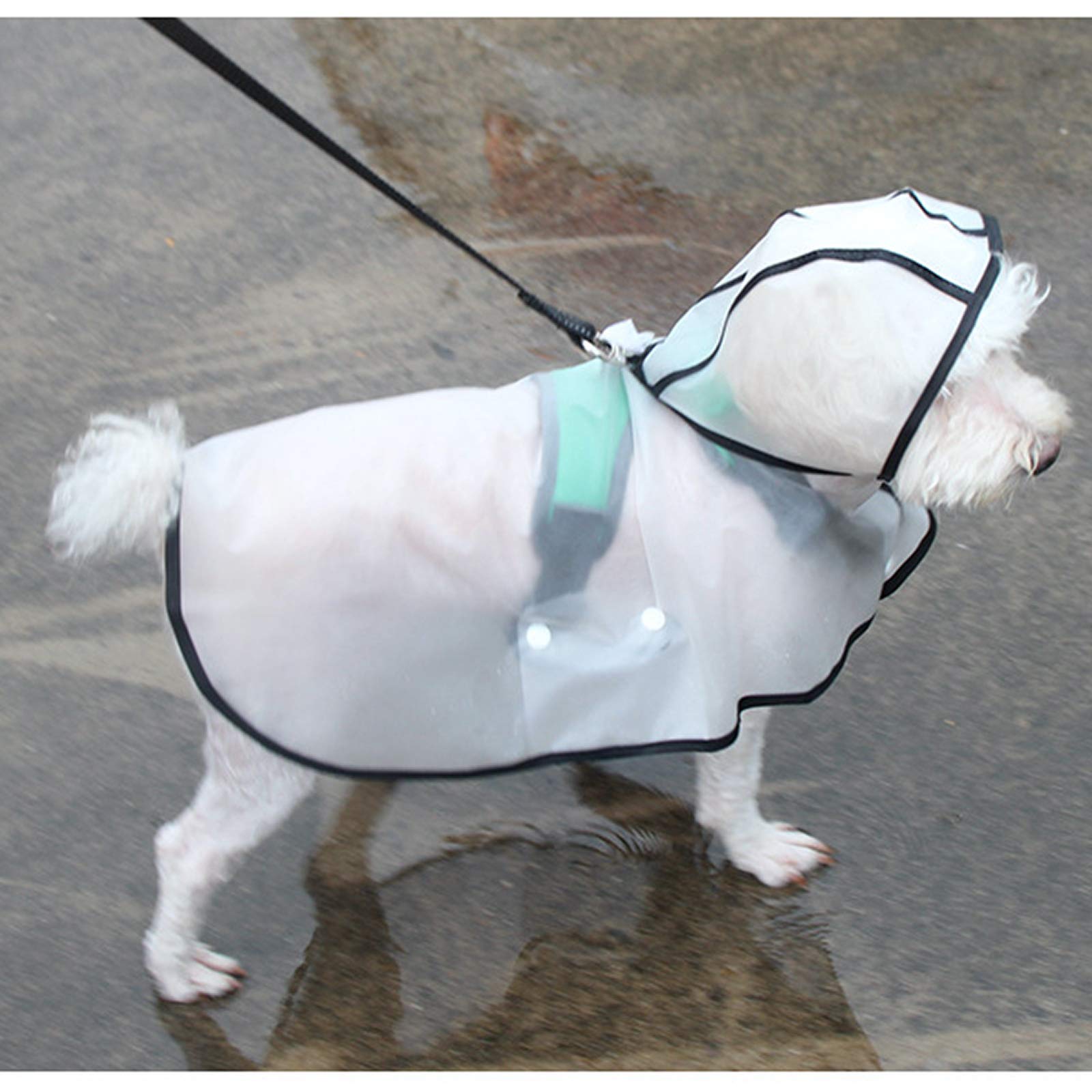 Hond regenjas Transparant PVC Waterdichte huisdier regenjas hond regenjas huisdier kleding jas voor kleine grote hond regenjas met capuchon puppy jassen (kleur: blauw, maat: 1 3 lbs huisdieren Hond regenjas Transparant PVC Waterdichte huisdier regenjas hond regenjas huisdier kleding jas voor kleine grote hond regenjas met capuchon puppy jassen (kleur: blauw, maat: 1 3 lbs huisdieren