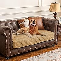 Vista 49 de Ameritex - Manta impermeable para cama de perro con parte trasera antideslizante para muebles, cama o sofá